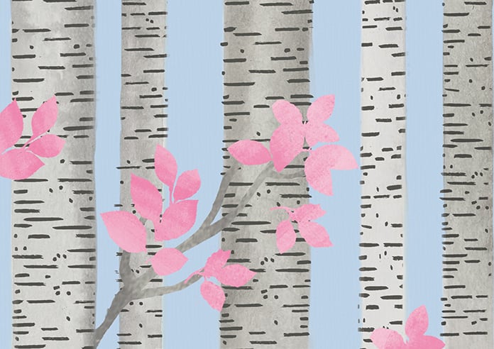 Birch Tree Velvet, Spring Pastels - Motorised Roman Blind - Image 7